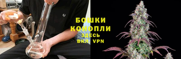 спиды Арсеньев