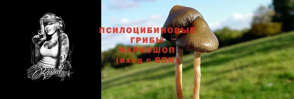 спиды Арсеньев