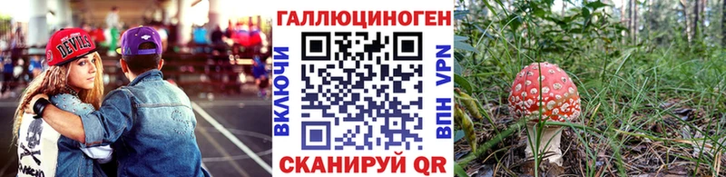 Псилоцибиновые грибы Psilocybe  hydra как войти  Аркадак  магазин продажи наркотиков 